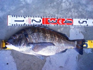s-201104291626000