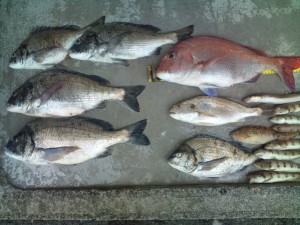 20110613154442
