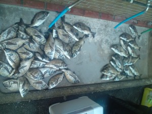 20110628165027