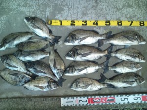 20110714154429