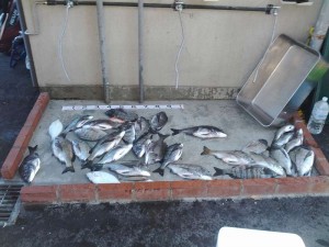 s-IMG_20120415_170459