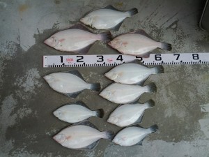 s-IMG_20120418_155509