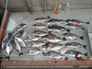 s-IMG_20120421_154044