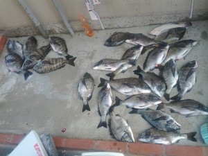 s-IMG_20120424_161728