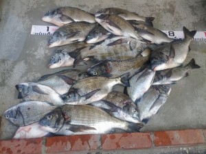 s-IMG_20120427_155120