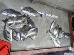 IMG_20120502_160015