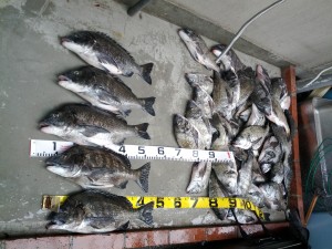 IMG_20120514_162859