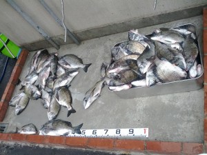 s-IMG_20120502_161506
