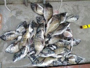 s-IMG_20120513_151612
