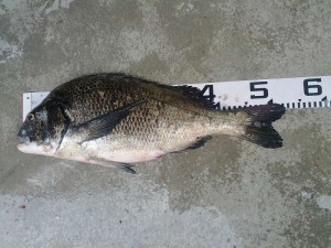 s-IMG_20120529_151033