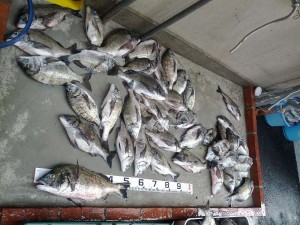s-IMG_20120601_152735