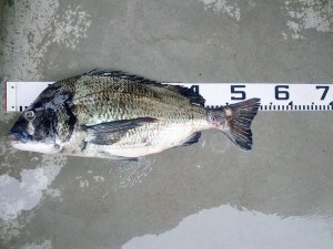 s-IMG_20120611_162600