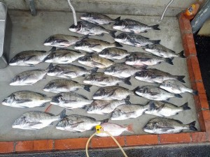 s-IMG_20120616_163848
