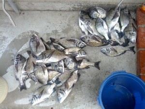 s-IMG_20120617_165753