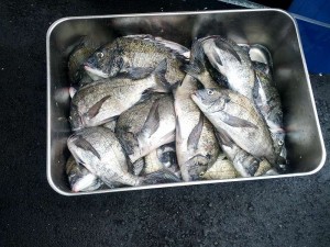 s-IMG_20120621_153525