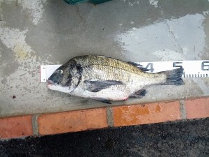 s-IMG_20120623_150945