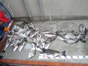 s-IMG_20120624_162643