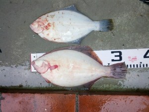 s-IMG_20120624_162756