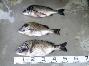 s-IMG_20120701_154302