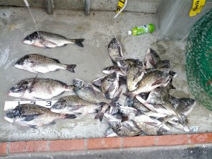 s-IMG_20120701_162118