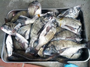 s-IMG_20120712_151439