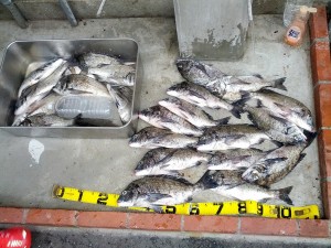 s-IMG_20120715_154305