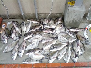 s-IMG_20120715_165557
