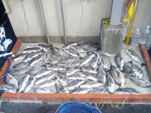 s-IMG_20120716_160930