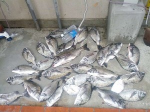 s-IMG_20120719_150458