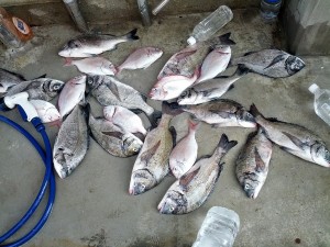 s-IMG_20120721_151846