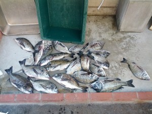 s-IMG_20120807_144528