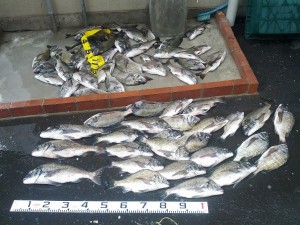 s-IMG_20120814_160531