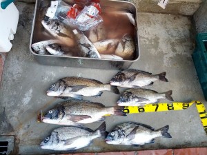 s-IMG_20120816_155650