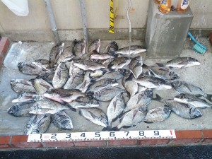 s-IMG_20120819_145155