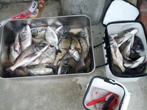s-IMG_20120828_154748