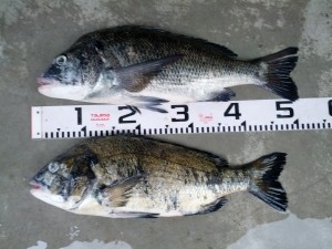 IMG_20120909_164658
