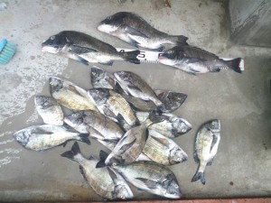 IMG_20120922_161850