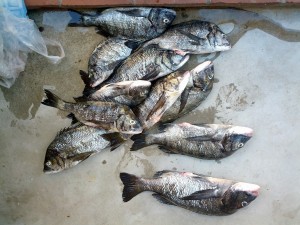 s-IMG_20120925_154130