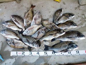 s-IMG_20120927_160121