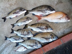 s-IMG_20120928_154153