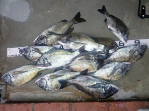 s-IMG_20121006_164359