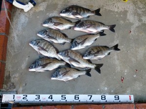 s-IMG_20121016_154045