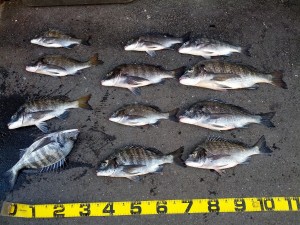 s-IMG_20121018_153521