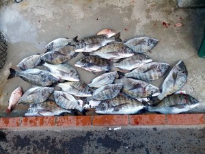 s-IMG_20121018_153750