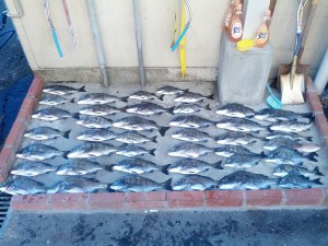 s-IMG_20121019_161024