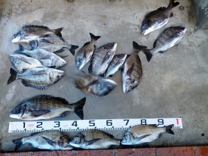 s-IMG_20121028_160104