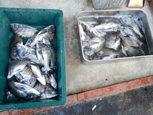 s-IMG_20121030_150355