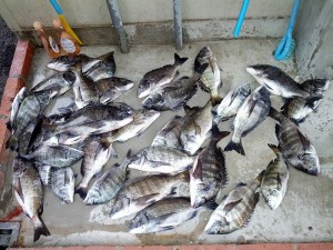s-IMG_20121110_162826