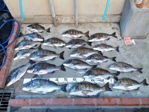 s-IMG_20121118_154829