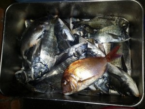 s-IMG_20121125_173152